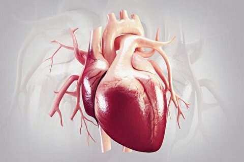 طراحی ضربان‌ساز قلبی که تا ۳۰۰ سال در بدن کار می‌کند!