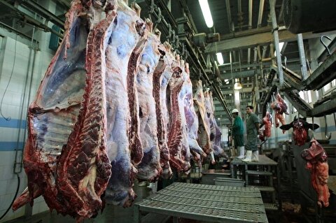 شیب کاهش قیمت گوشت شدت می‌گیرد