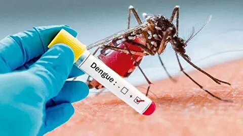 شناسایی ۸ مبتلای به تب دانگ در کشور