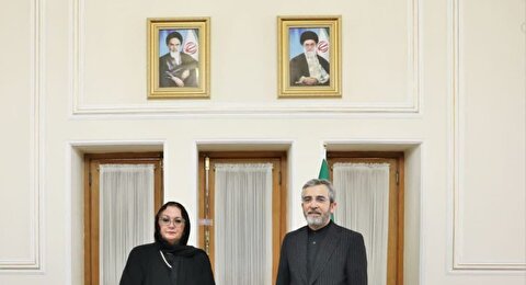 علی باقری در دیدار با بیسرا تورکوویچ: ایران همواره یک ستون مستحکم و قابل اعتماد است